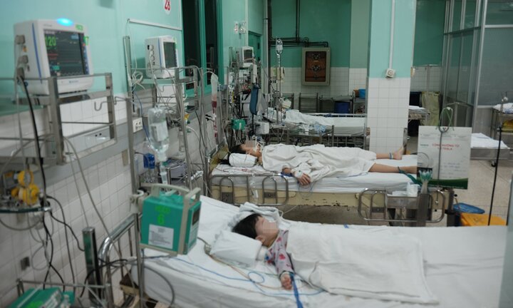 Đuổi theo bắt ếch, bé trai 7 tuổi ở Ninh Thuận bị rắn độc cắn nguy kịch