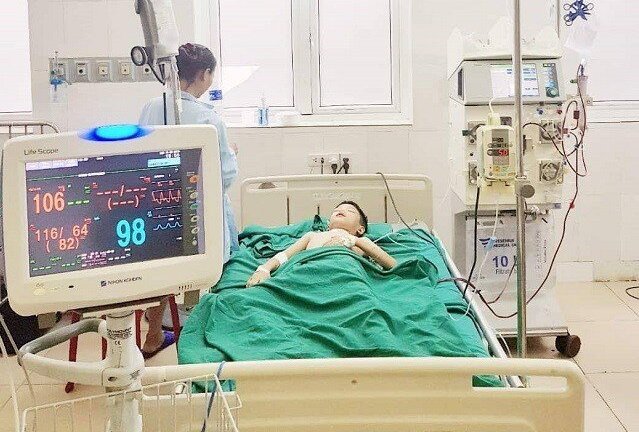 Ong vò vẽ cực độc đốt hơn 100 nốt, bé trai 11 tuổi nguy kịch