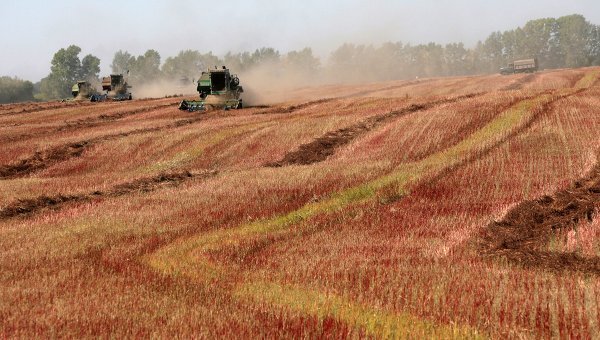 Nga muốn cho Trung Quốc thuê đất nông nghiệp, giới chuyên gia nghi ngờ