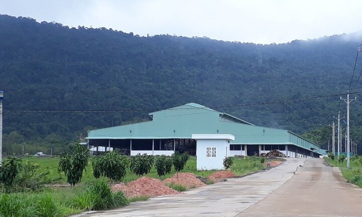 Chậm tiến độ, dự án nhà máy xử lí rác thải Phú Quốc bị thu hồi