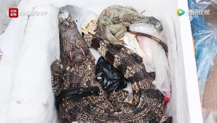 Mua thực phẩm chức năng qua mạng, nhận được thứ khiến ai cũng hết hồn