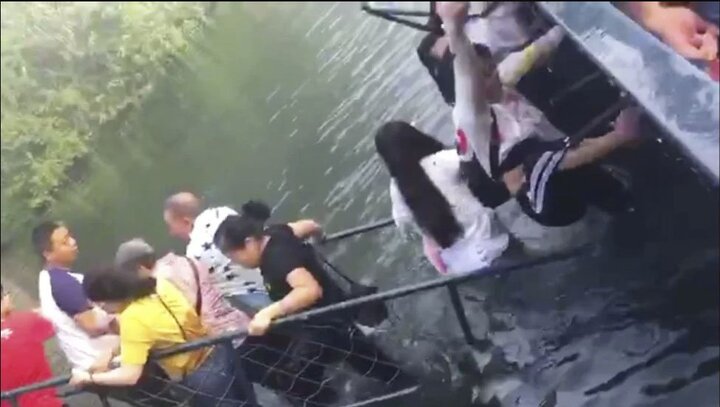 Video: Mải mê selfie, khách du lịch Trung Quốc làm sập cầu