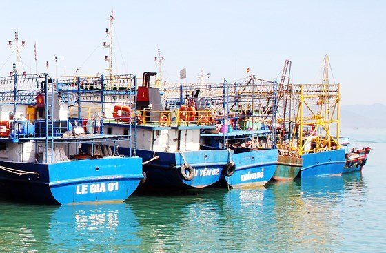 Câu cá ngừ gần đảo Trường Sa Lớn, 1 ngư dân bị cá cắn đứt bàn tay