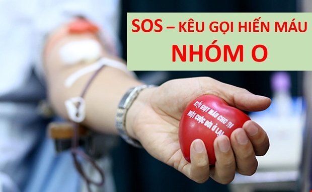 Viện Huyết học - Truyền máu Trung ương: Cấp thiết kêu gọi hiến máu nhóm O