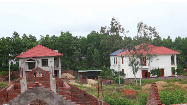 Doanh nghiệp xin đất rừng trồng cây ăn quả, dân tự ý xây biệt thự sang trọng
