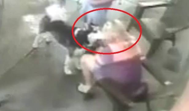 Clip: Vuốt ve chó Husky, cựu người mẫu bị cắn rách mặt, phải phẫu thuật thẩm mỹ