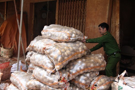 Liên tiếp bắt quả tang cơ sở 'hô biến' khoai tây Trung Quốc thành khoai tây Đà Lạt