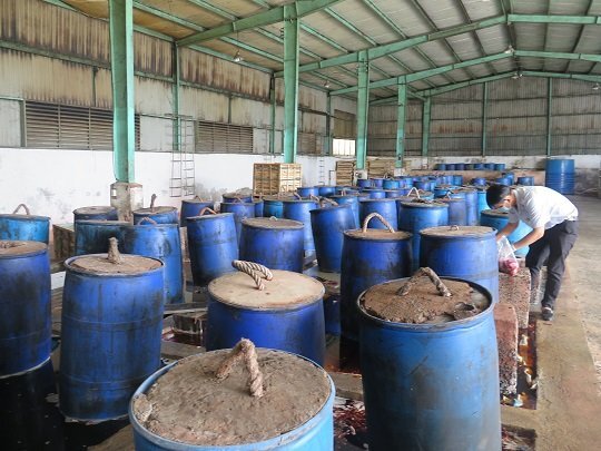 Phát hiện cơ sở sản xuất ớt muối có lẫn xác côn trùng tại TP.HCM