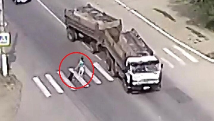 Clip: Chó cưng có giác quan thứ 6 cứu chủ khỏi tay tử thần ngoạn mục