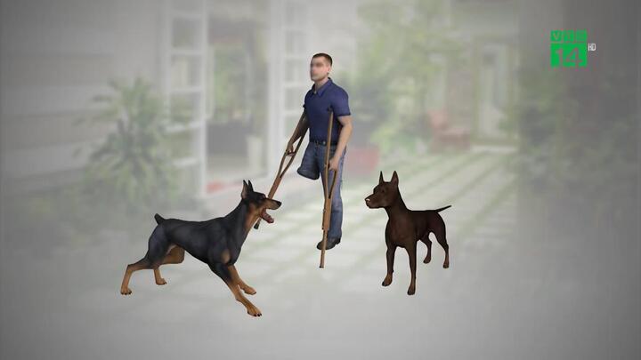 Clip: Can 2 con chó becgie đánh nhau, người đàn ông bị cắn chết