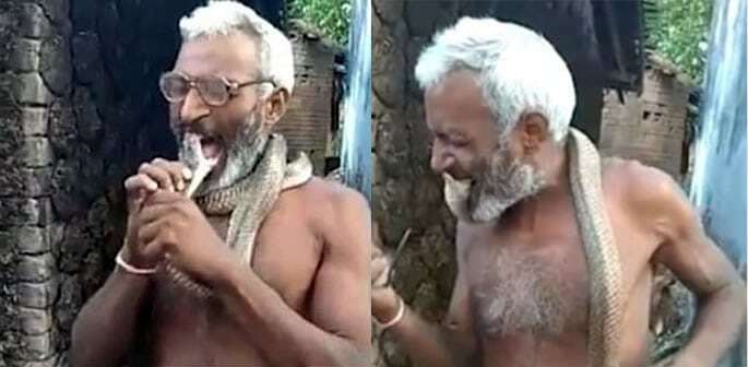 Rợn người clip người đàn ông ngoạm đầu rắn hổ mang, giỡn mặt tử thần