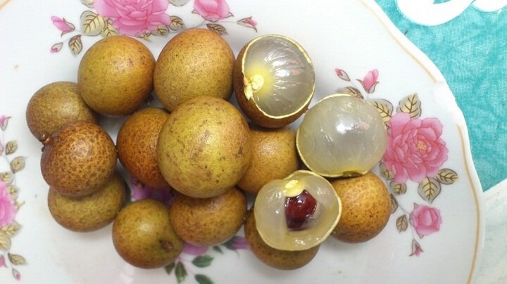 Cách nhận biết nhãn lồng Hưng Yên chính hiệu
