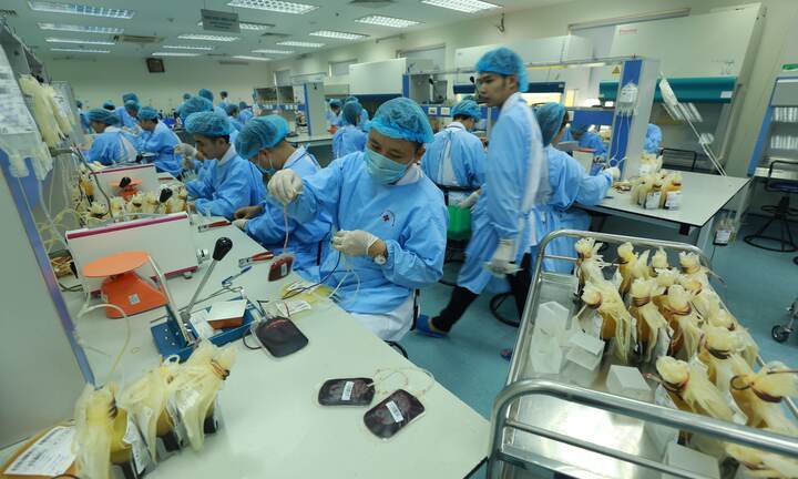 Ảnh: Bên trong 'phân xưởng' điều chế máu lớn nhất miền Bắc