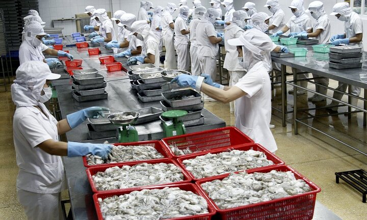 Doanh nghiệp kinh doanh nông, lâm, thủy, hải sản vào 'tầm ngắm' của Tổng cục thuế