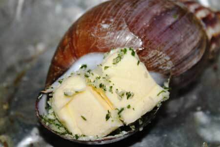 Ăn ốc sên thế nào để không nhiễm ký sinh trùng, biến chứng viêm màng não?