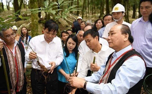 Video: Thủ tướng Nguyễn Xuân Phúc thăm và trồng lưu niệm sâm Ngọc Linh tại Kon Tum