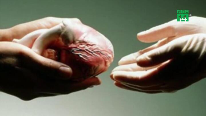 Gặp tai nạn chết não trên đường đi công tác, kỹ sư hiến tạng cứu 4 người