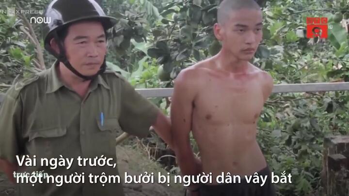 Video: Thanh niên đi trộm bưởi để lấy tiền mua ma túy