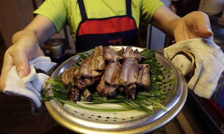 Bị giới trẻ tẩy chay, thịt chó dần biến mất khỏi ẩm thực Hàn Quốc