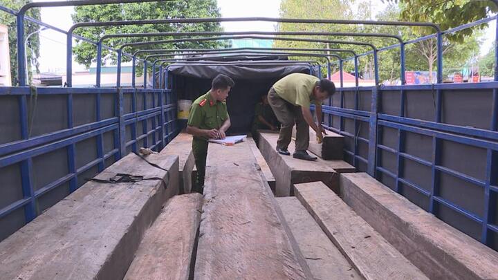 CSGT Đắk Lắk bắt xe chở gỗ lậu trong lúc tuần tra