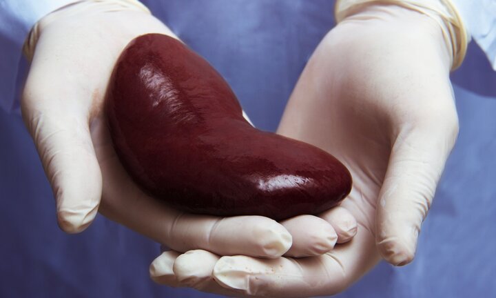 Cắt nhầm thận của bệnh nhân, bác sỹ vẫn khăng khăng ‘không làm gì sai’