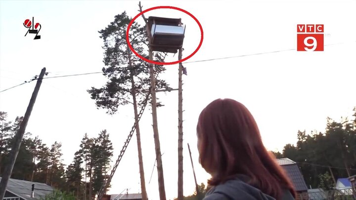 Xây nhà trên ngọn cây nhà hàng xóm để trả thù