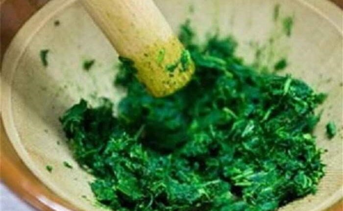 Mù quáng cắt lá thuốc nam đắp chữa trĩ, hai người phụ nữ hoại tử hậu môn