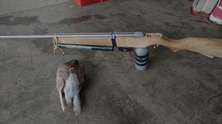 Đi bắn chim, bắn trúng người đi đường