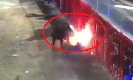 Clip: Bị đốt sừng, bò tót nổi điên húc cụ ông chết thảm