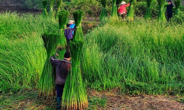 Xã cho thuê sông, dân Thanh Hóa mất kế sinh nhai