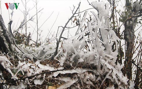 Mùa Đông năm 2018 sẽ thế nào?