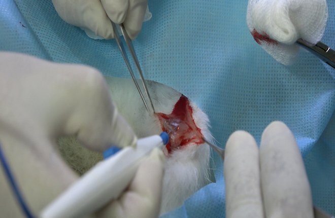 Kĩ sư Việt chế tạo thành công dao mổ cầm máu với chi phí 320 triệu