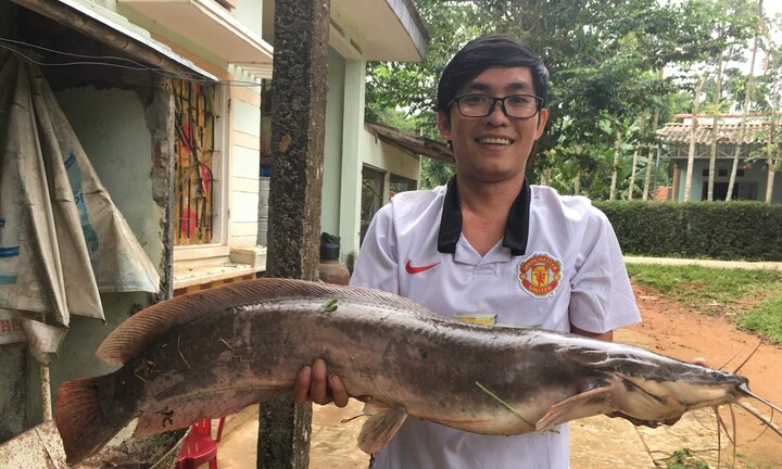 Bắt được cá trê nặng 10kg ở Quảng Nam