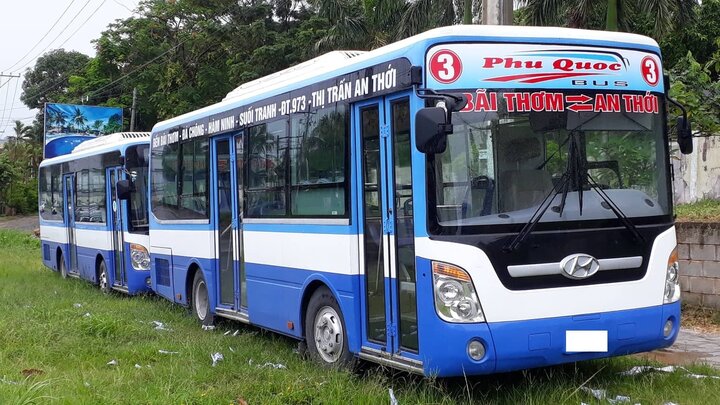 Sắp có 3 tuyến xe buýt phục vụ người dân Phú Quốc