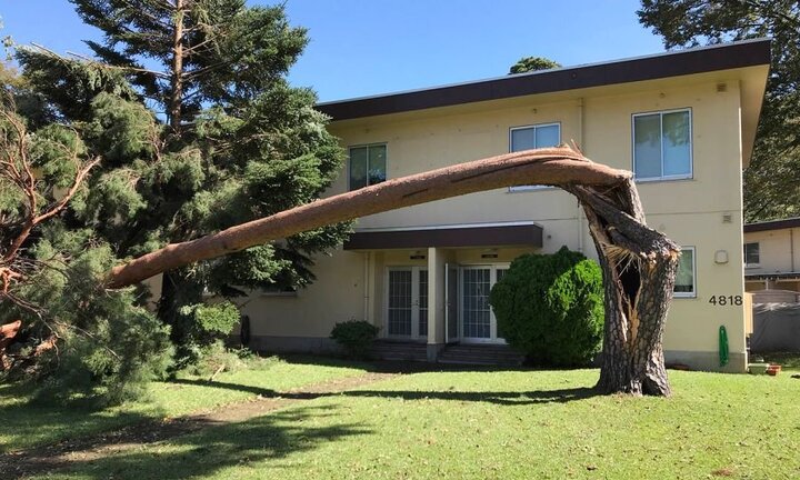 Căn cứ không quân Mỹ tại Nhật Bản tan hoang sau khi siêu bão Trami đổ bộ