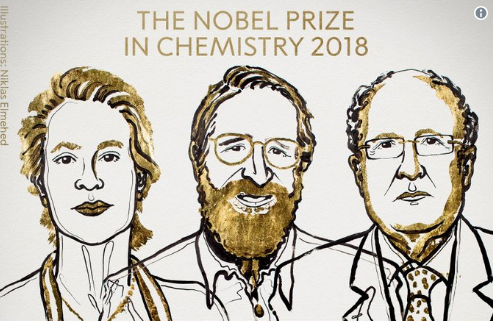 Nobel Hóa học 2018 được trao cho các nhà khoa học 'điều khiển được quy trình tiến hóa'