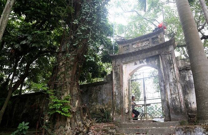 Đề nghị bán đấu giá công khai cây sưa 100 tỷ đồng ở Hà Nội
