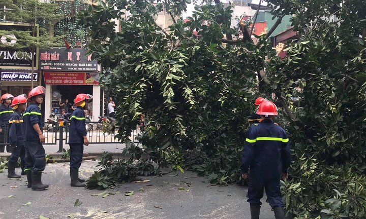 Video: Cây đa cổ thụ đổ chắn ngang đường, giao thông tê liệt ở Hà Nội