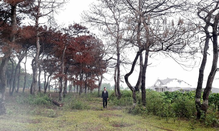 Cấp đất rừng lấn chiếm ở Gia Lai, nữ cán bộ đất đai bị khởi tố