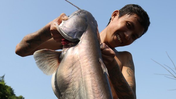 Dân đổ xô đến đập thủy điện Trị An bắt cá khủng