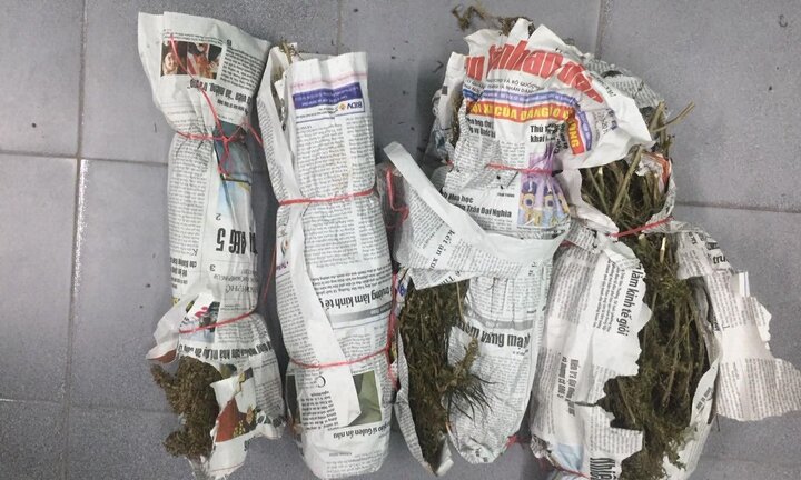 Ngụy trang cần sa trong thùng đựng trái cây nhằm qua mặt cảnh sát ở Quảng Nam