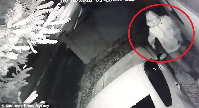 Clip: Đạo chích bẻ khóa, trộm siêu xe Mustang trong 20 giây