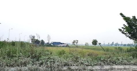 Liều lĩnh bán đất dự án của doanh nghiệp khác