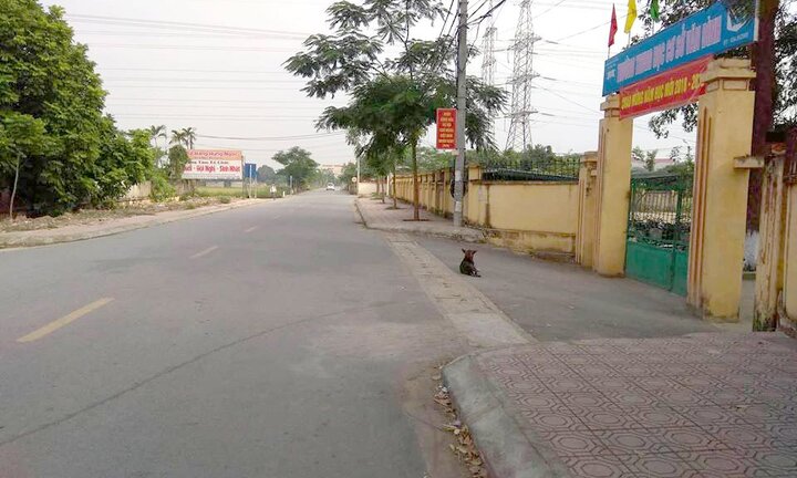 10 kẻ mang súng và kiếm tấn công 2 tài xế trong đêm ở làng quê Hà Nội