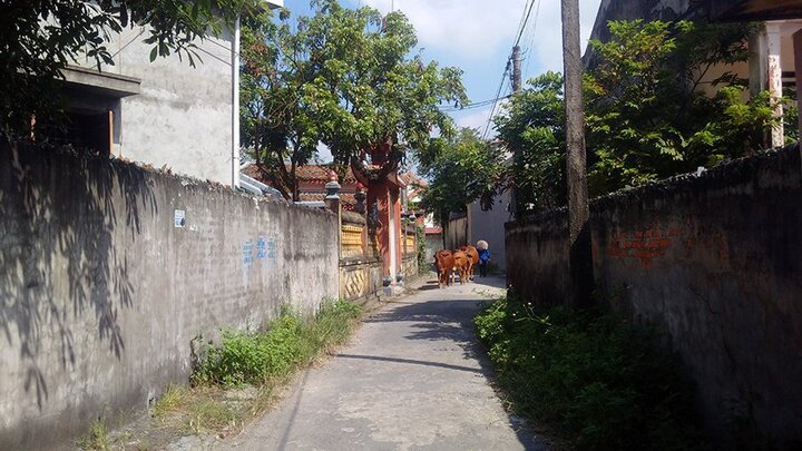 Bí ẩn xóm nhỏ ở Hải Phòng trong 3 năm có 40 người bỏ mạng liên tiếp vì đột tử, tai nạn