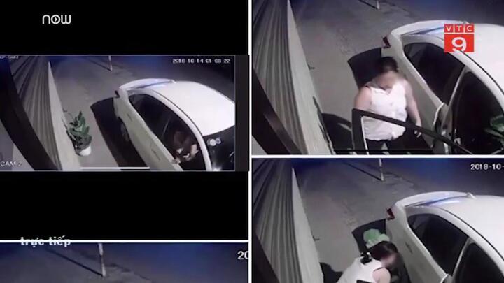 Clip: Nữ tài xế lái xe sang đi trộm cây cảnh trong đêm