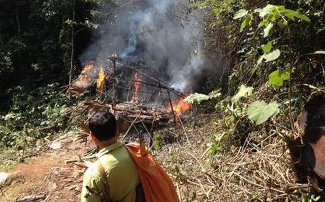 Đến hiện trường kiểm tra khai thác gỗ lậu, cán bộ kiểm lâm bị tạt xăng đốt