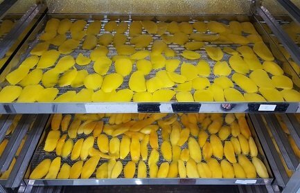 Giới thiệu một số công nghệ sấy nông sản, thực phẩm ưu việt