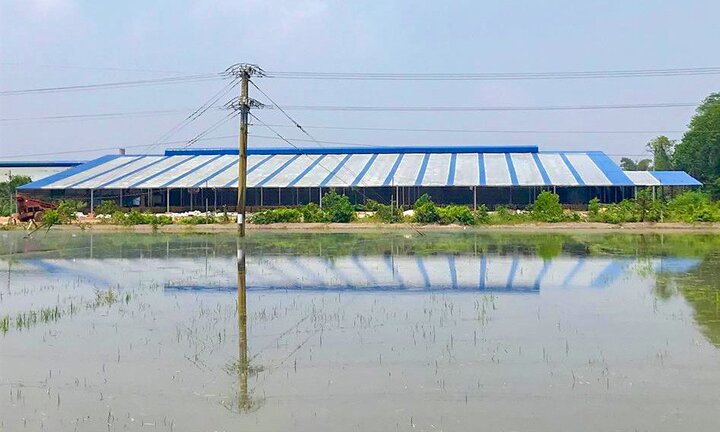 Một doanh nghiệp xây dựng không phép nhà xưởng hơn 10.000 m2 ở Long An