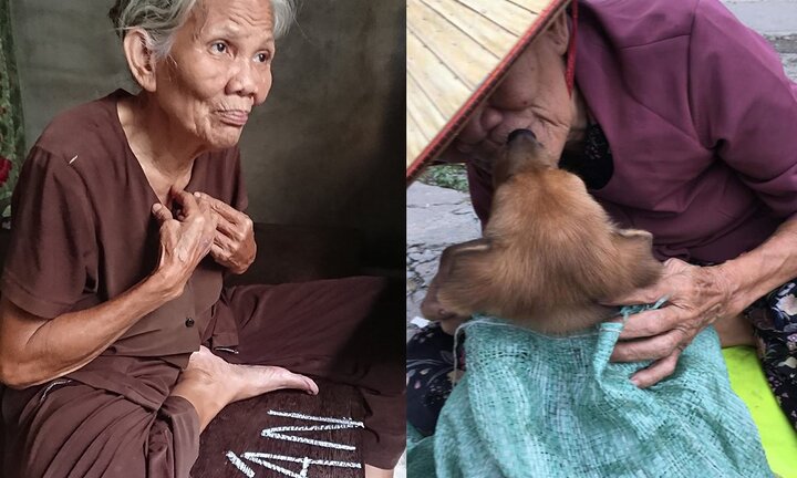 Bà cụ nghèo bán chó gây chia rẽ cộng đồng mạng: Đâu là sự thật?